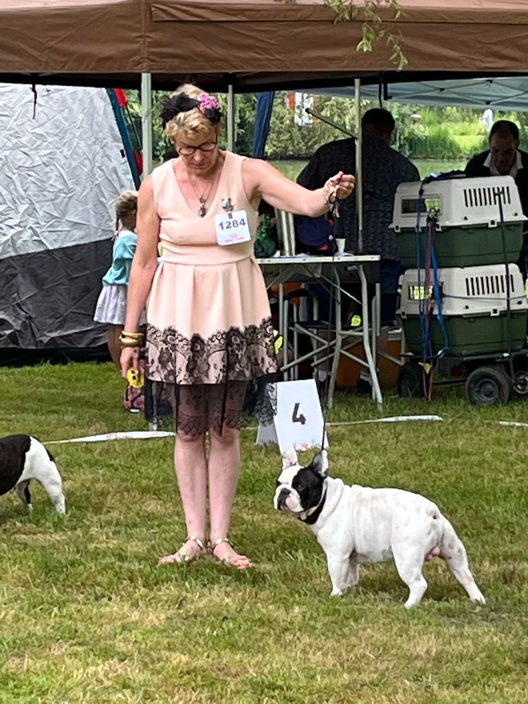 Von Boule D'esteix - O' RHETT BUTLER 2ème Excellent Champion Périgueux 2022