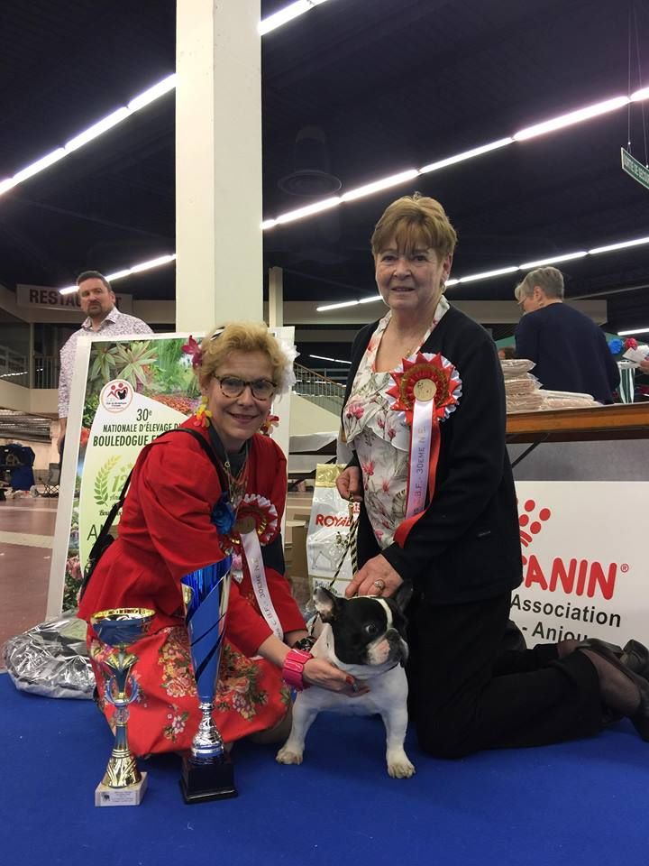 Von Boule D'esteix - Championne de France 2018 Magnolia For Ever La Clodette Von Boule !!!