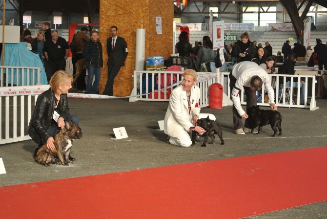 Von Boule D'esteix - Poitiers 2015