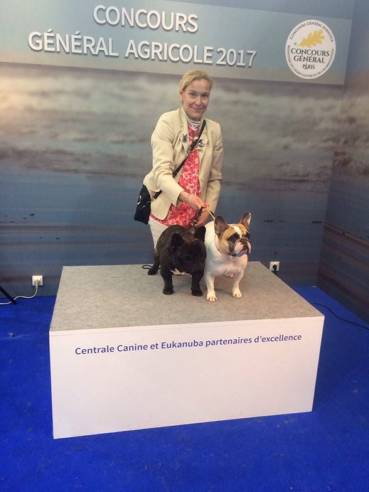 Von Boule D'esteix - Salon de l'Agriculture 2017 Village de Races