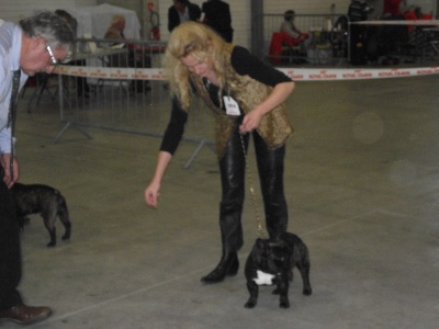 Von Boule D'esteix - Laval 2012