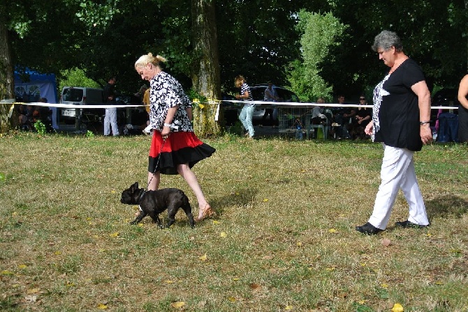 Von Boule D'esteix - Chalette sur Loing (45) 2015 SPE
