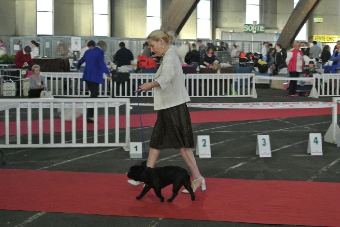 Von Boule D'esteix - Poitiers octobre 2014