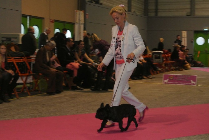 Von Boule D'esteix - Nantes 2015