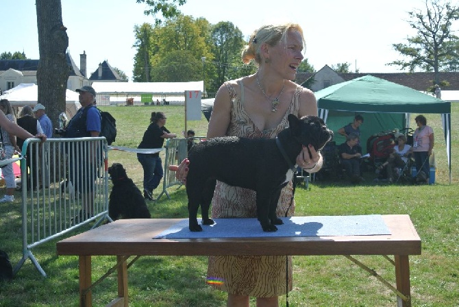 Von Boule D'esteix - Romorantin 2015