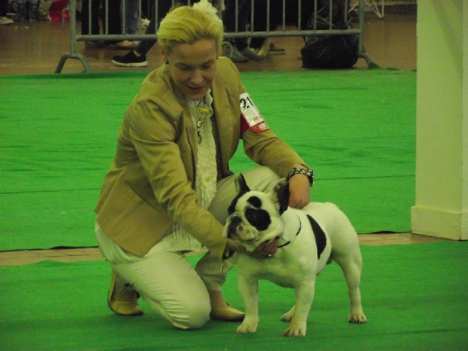 Von Boule D'esteix - Spéciale de Race Angers 2016