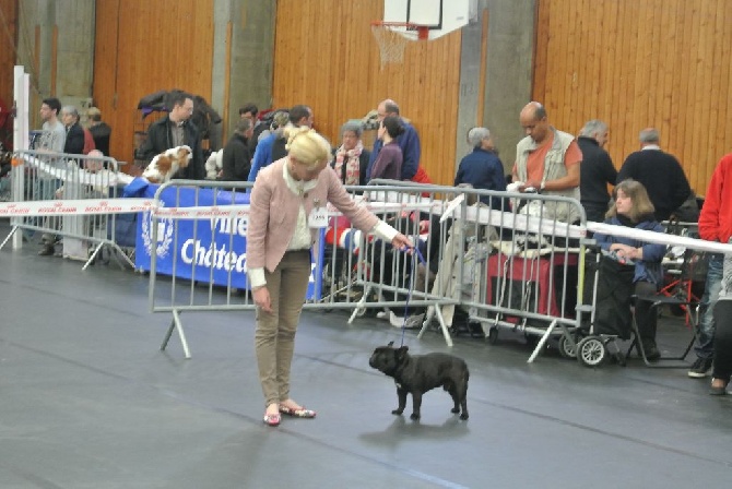 Von Boule D'esteix - Chateauroux (36) avril 2015