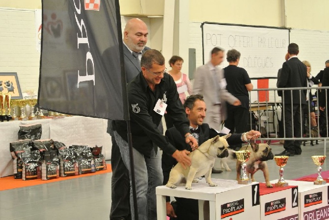 Von Boule D'esteix - Nationale d'Elevage Orleans 2014