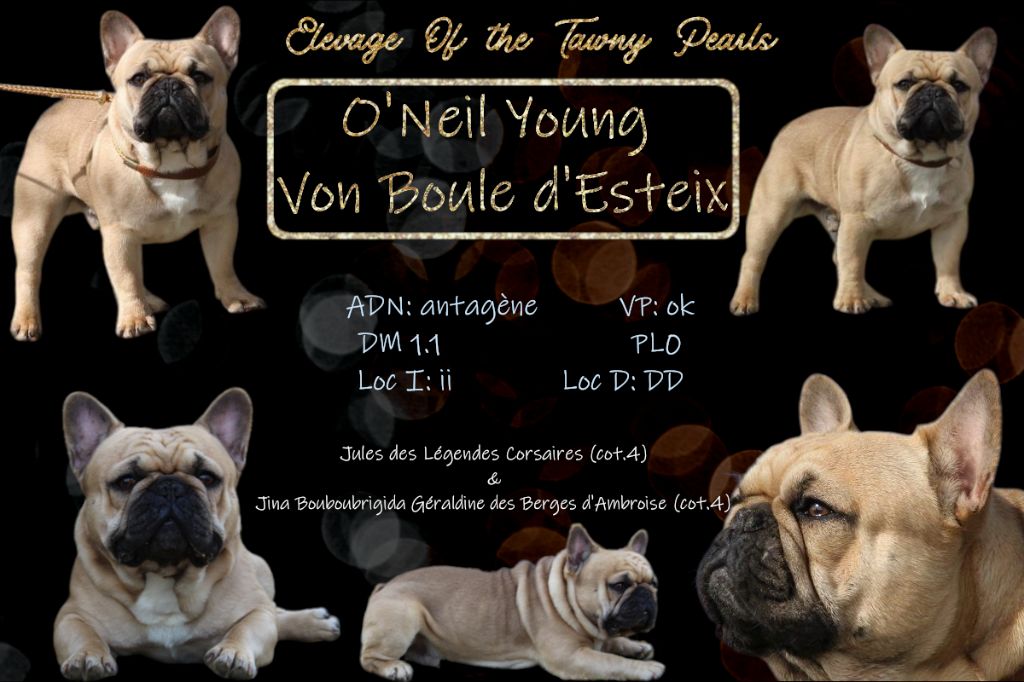 Von Boule D'esteix - O'Neil Young Von Boule D'Esteix