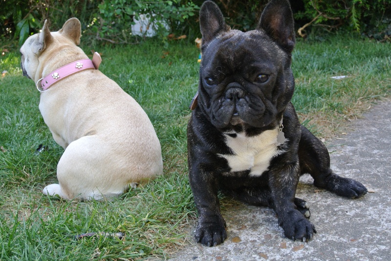 EDITH et HUMPHREY
